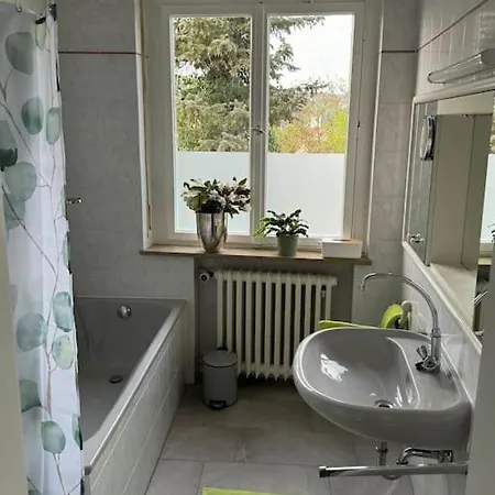 公寓 Terrassenapartment 巴特梅根特海姆